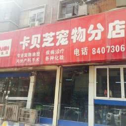 卡贝芝宠物医院(永昌路店):兰州市城关区大众巷附近