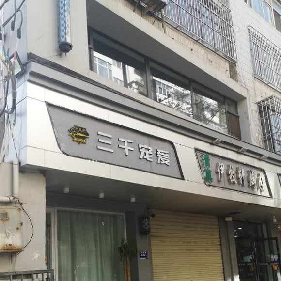 三干宠爱:兰州市城关区永昌路附近