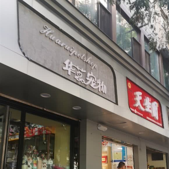 华蕊狗狗:兰州市城关区白银路附近