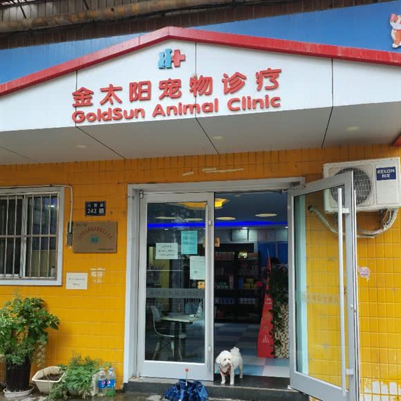 金太阳宠物诊疗:兰州市城关区白银路附近