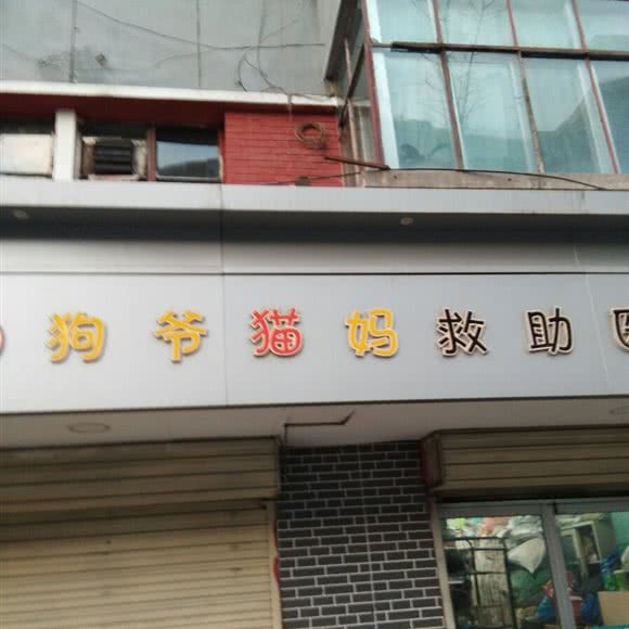 狗爷猫妈救助医疗站:兰州市城关区兰州大学附近