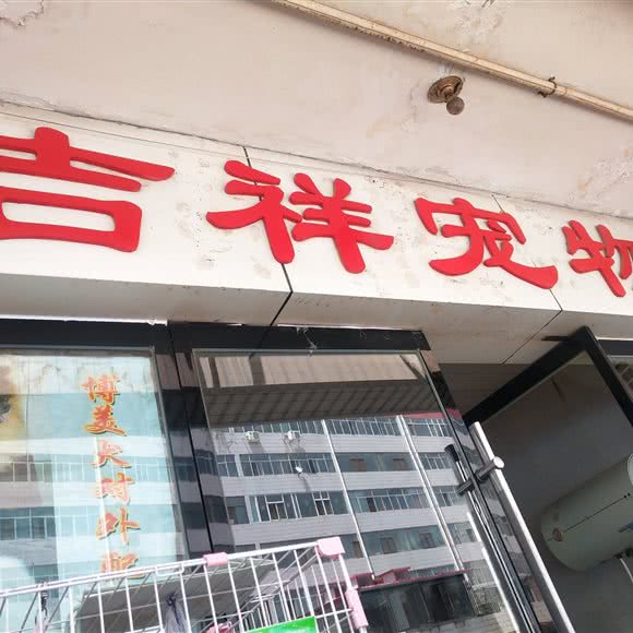 吉祥宠物:兰州市城关区万达广场附近