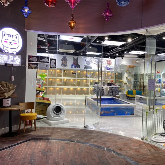 韩小宝宠物生活馆:兰州市城关区南关十字附近