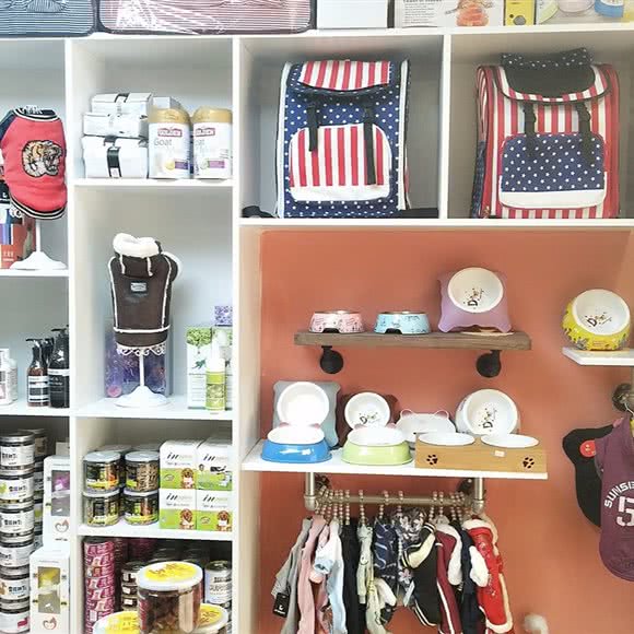 爱宠联萌:兰州市城关区平凉路附近