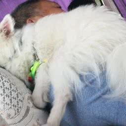 萧冉宠物生活馆:兰州市城关区西关十字附近