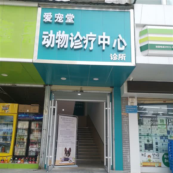 爱宠动物诊所(城关店):兰州市城关区东方红广场附近