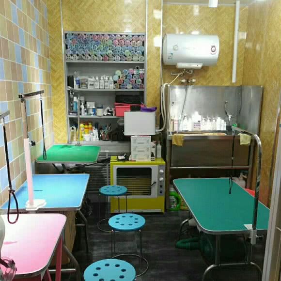 精灵物语小胖高端宠物美容:兰州市城关区武都路附近