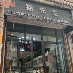 猫先生:兰州市城关区静宁路附近