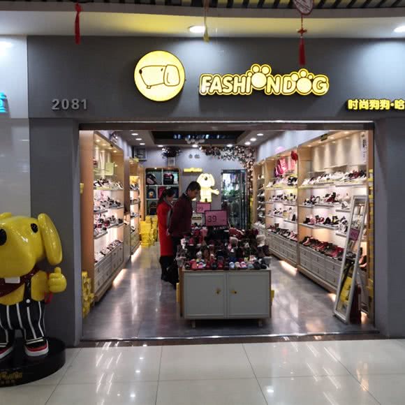 时尚狗狗哈贝多:兰州市城关区东岗东路附近