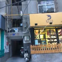 维尼小豆宠物狗:兰州市城关区麦积山路附近