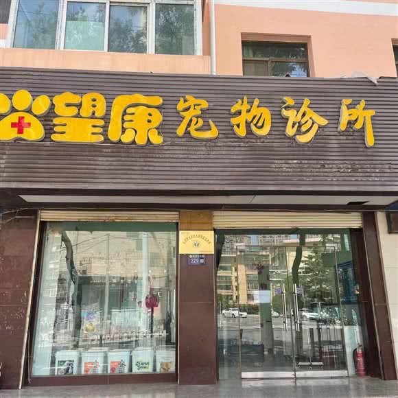 望康宠物诊所(南河路店):兰州市城关区滩尖子附近