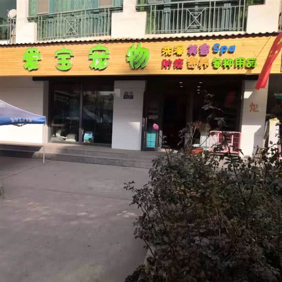 爱宝宠物·品牌折扣店(雁兴路店):兰州市城关区雁滩路附近