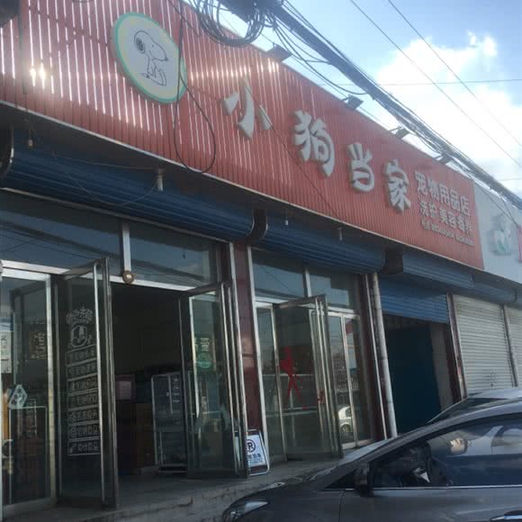 小猫当家:唐山市丰润区韩城镇附近