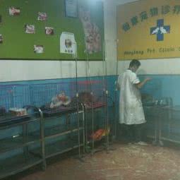 恒康宠物诊疗中心:兰州市城关区二热附近