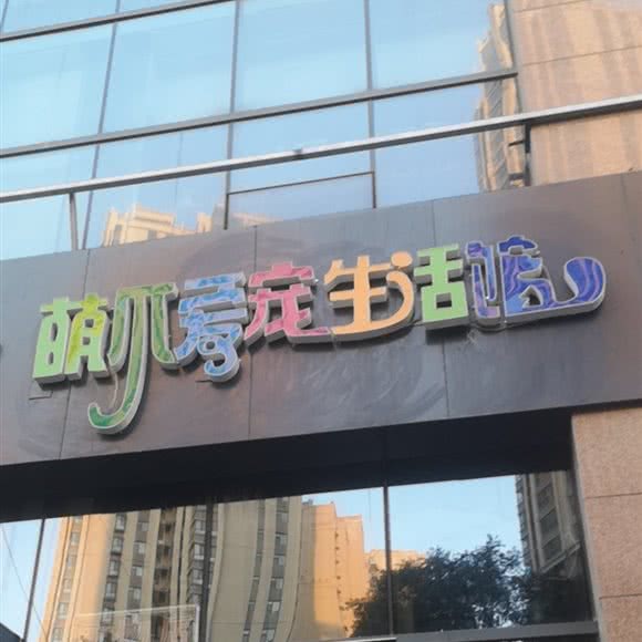 萌爪爱宠宠物店:兰州市城关区北滨河路附近