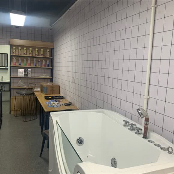 宠爱联萌:兰州市城关区北滨河路附近