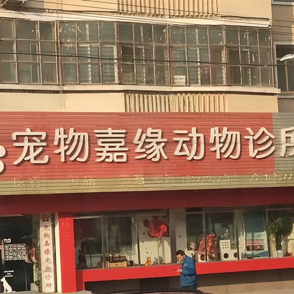 宠物嘉缘动物诊所:兰州市城关区北滨河路附近