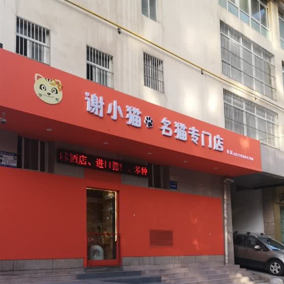 谢小猫名猫专门店:兰州市城关区火车站附近