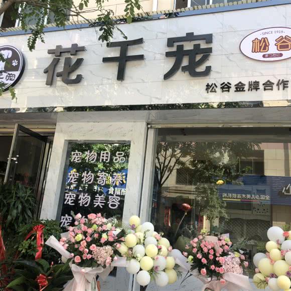 松谷花千宠宠物·猫咖:兰州市城关区北面滩附近