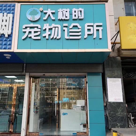 大树的宠物诊所:兰州市城关区新港城附近