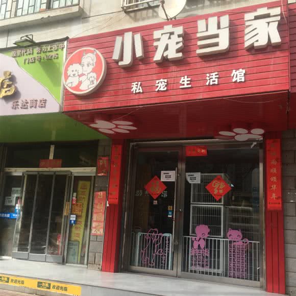 小宠当家私宠生活馆:兰州市七里河区兰州西站附近