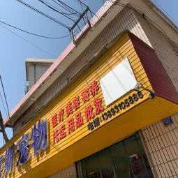 诺克斯宠物:兰州市七里河区兰州西站附近