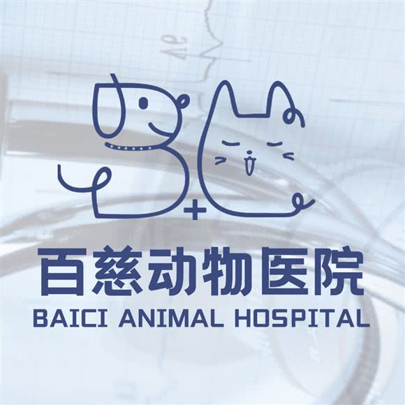 百慈动物医院(眼科，骨科，猫专科，心内科诊疗中心):兰州市七里河区秀川附近