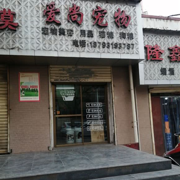 爱尚宠物:兰州市七里河区龚家湾附近