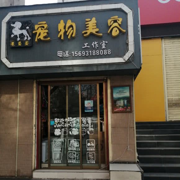 毛蛋蛋宠物美容:兰州市七里河区龚家湾附近