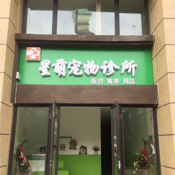 星萌宠物诊所:兰州市西固区福利路附近