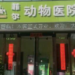 菲尔动物:兰州市西固区十二街区附近