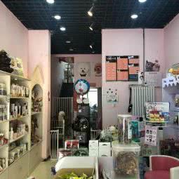 哈喽小宠狗狗生活体验馆:兰州市西固区西固人家附近