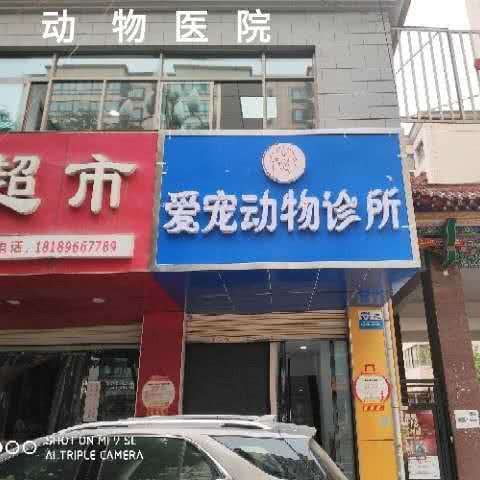爱宠动物诊所:兰州市安宁区桃海附近