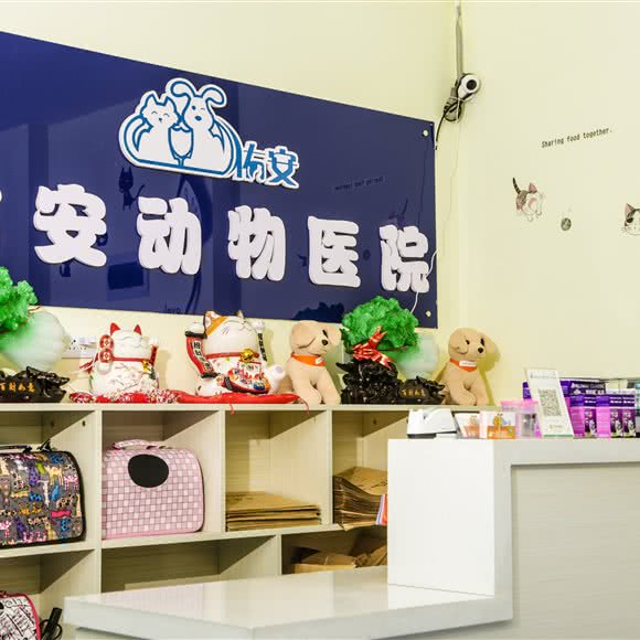 佑安动物医院(幸福巷店):兰州市安宁区十里店附近