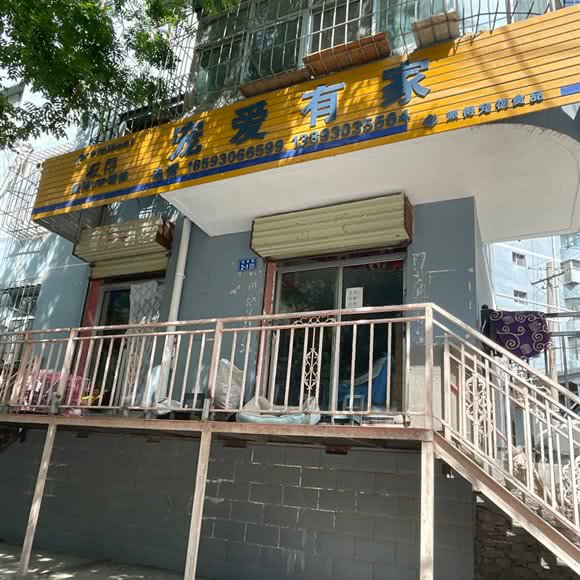 宠爱有家(人民路店):白银市白银区八号楼十字附近