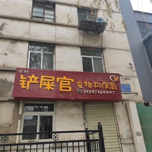 花村铲屎官宠物工作室:白银市白银区二十一冶俱乐部附近