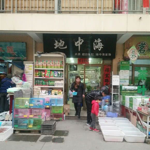 地中海:天水市秦州区成纪大道西路附近