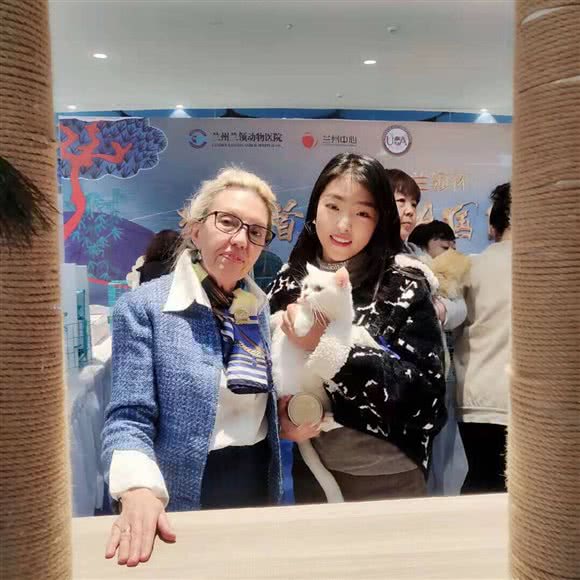 格子家训犬俱乐部:天水市秦州区华联商厦附近