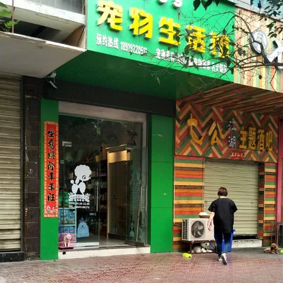 狗狗生活馆:天水市麦积区埠南路附近