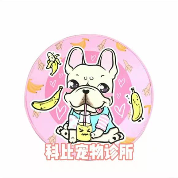 科比宠物诊所:武威市凉州区迎宾路附近