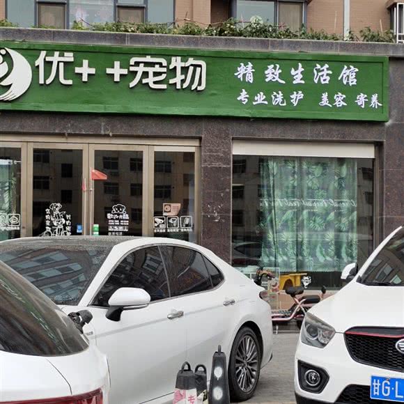 八月的猫:张掖市甘州区张掖新城区商圈附近