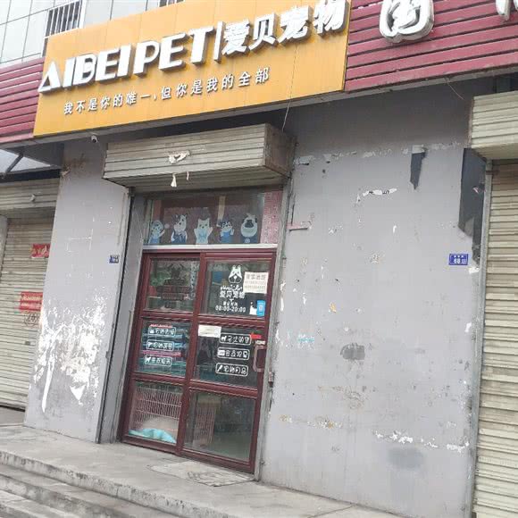 爱贝宠物(华亭总店):平凉市华亭市华亭市附近