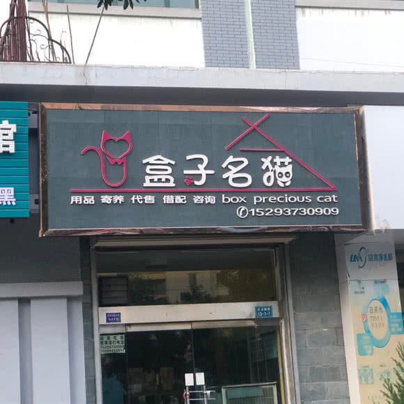 盒子名猫:酒泉市肃州区北环路附近