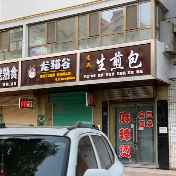 龙猫谷:酒泉市肃州区东关附近