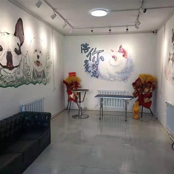 米芽宠物用品中心:酒泉市肃州区东关附近