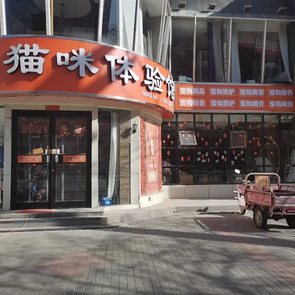岩松麻麻的猫咪体验馆:酒泉市肃州区东关附近
