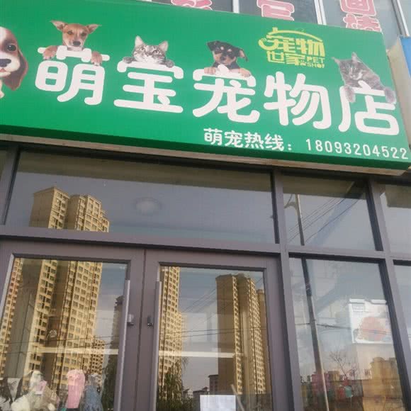 宠物世家萌宝宠物:定西市安定区中华路附近