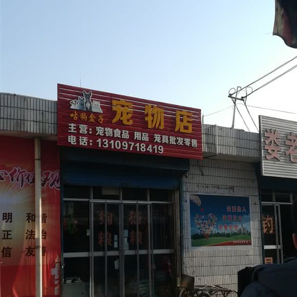 咕狗盒子宠物店:西宁市城东区康乐附近