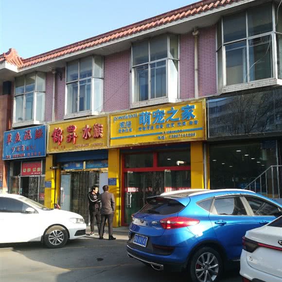 派得萌宠之家:西宁市城东区康乐附近