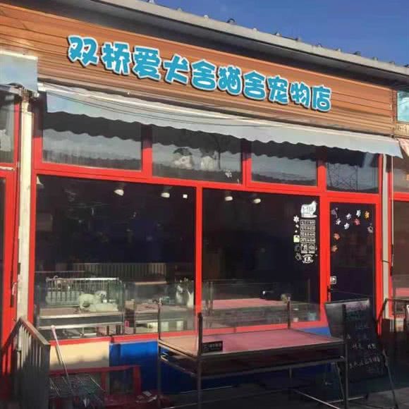 双桥爱犬舍猫舍宠物店:北京城区朝阳区常营附近